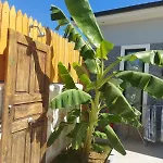 Sarp Kalkan * Kaş