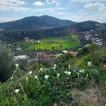 Sarp Kalkan *