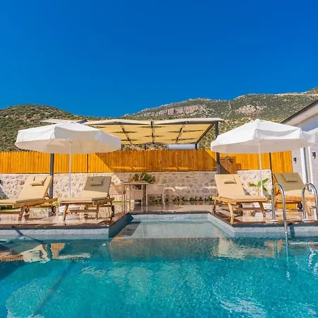 Sarp Kalkan 别墅