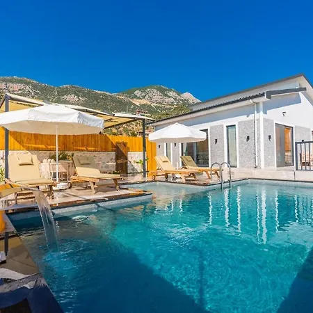 Sarp Kalkan * 卡斯