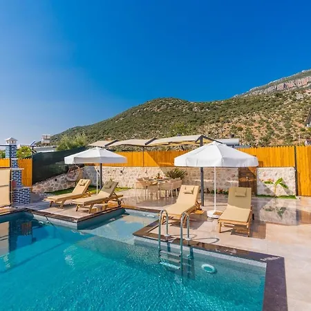 Sarp Kalkan 别墅