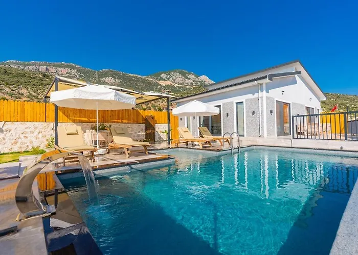 Sarp Kalkan * 卡斯